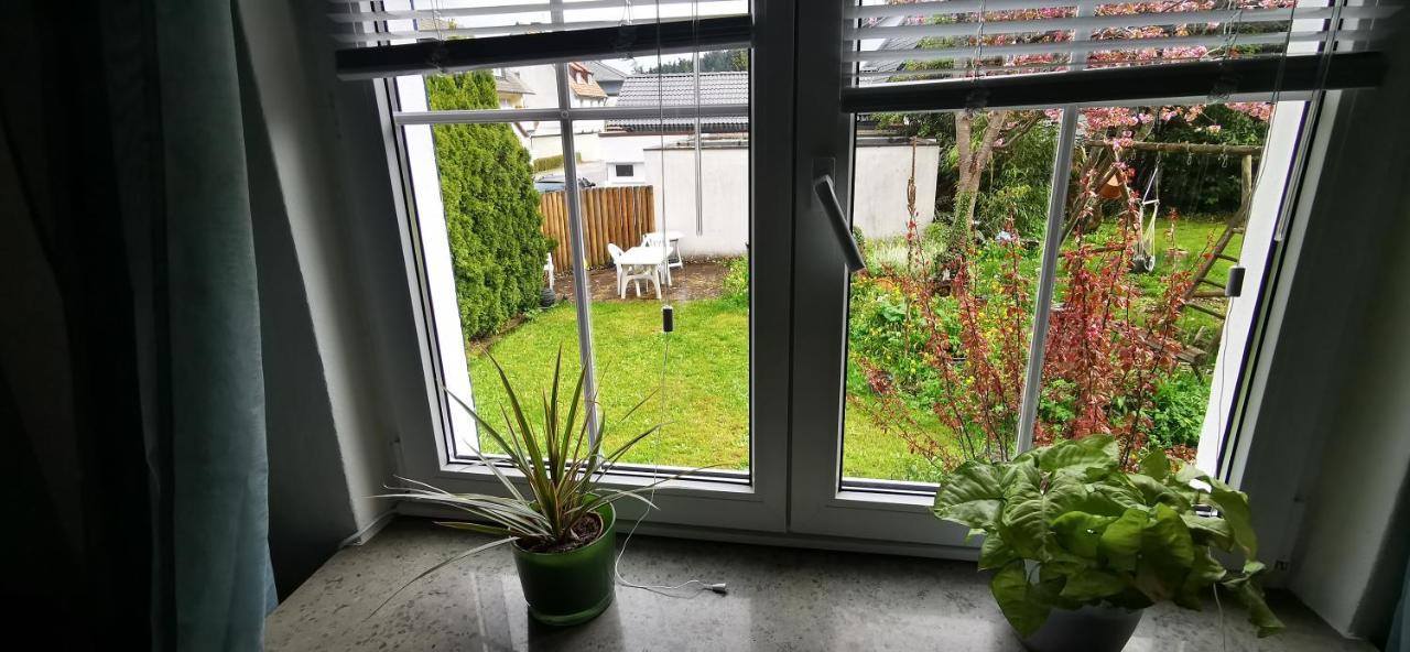 Ferienwohnung Palmenwald 弗罗伊登施塔特 外观 照片