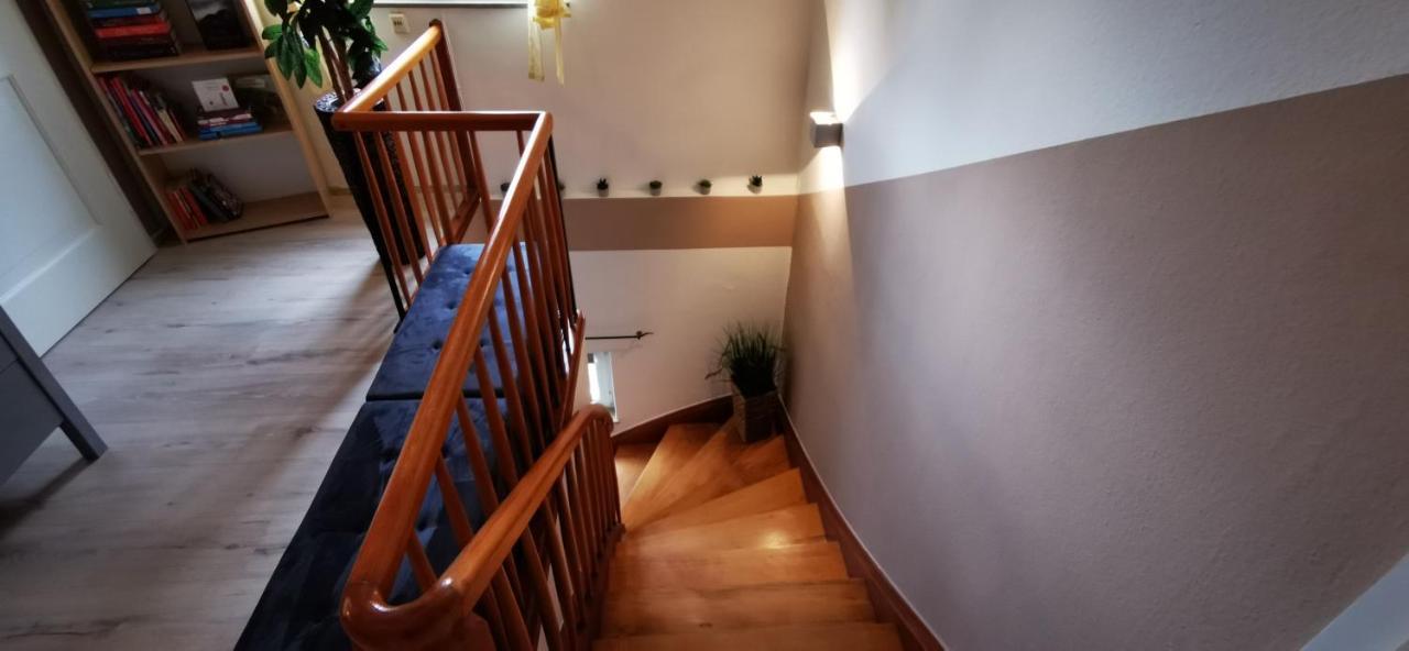 Ferienwohnung Palmenwald 弗罗伊登施塔特 外观 照片
